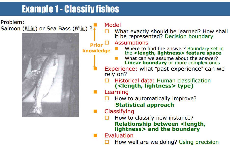 fish classify design